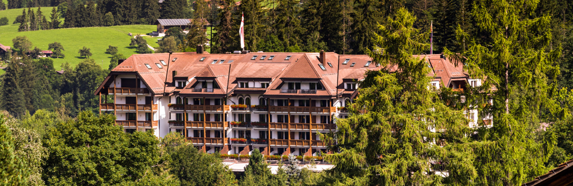 Hotel Park Gstaad  banner 1