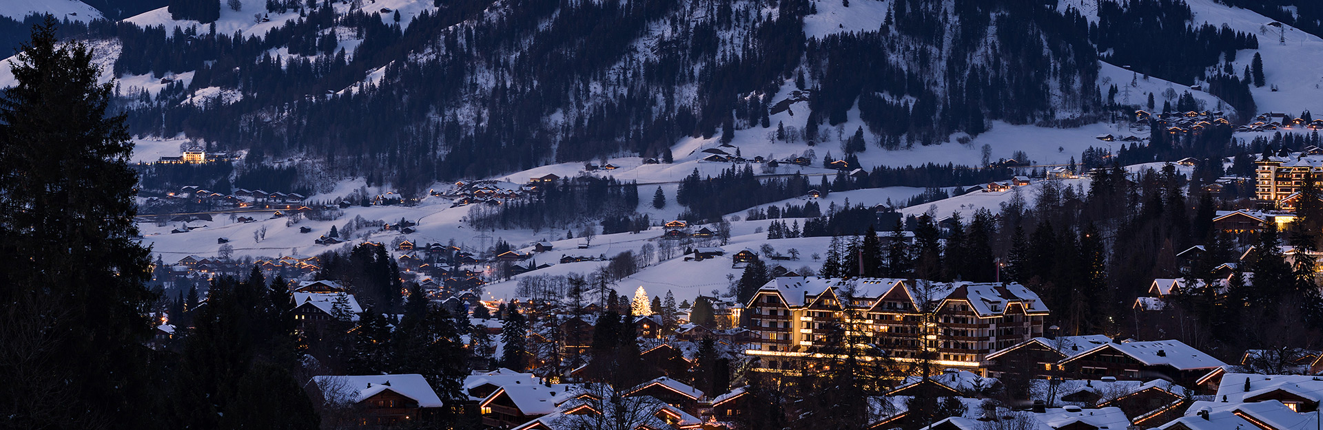 Hotel Park Gstaad  banner 2