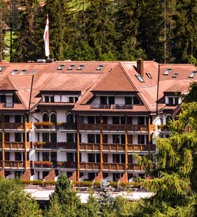 Hotel Park Gstaad  banner 1