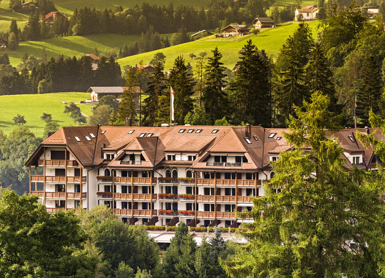 Hotel Park Gstaad  18