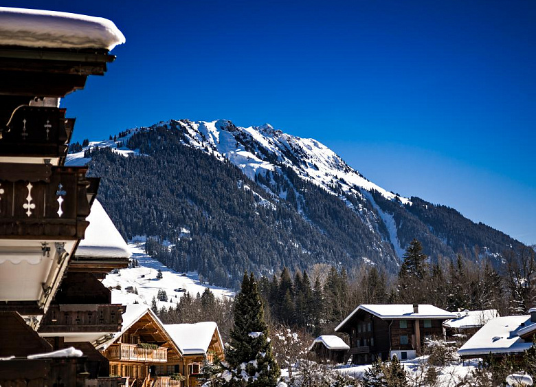 Hotel Park Gstaad  39