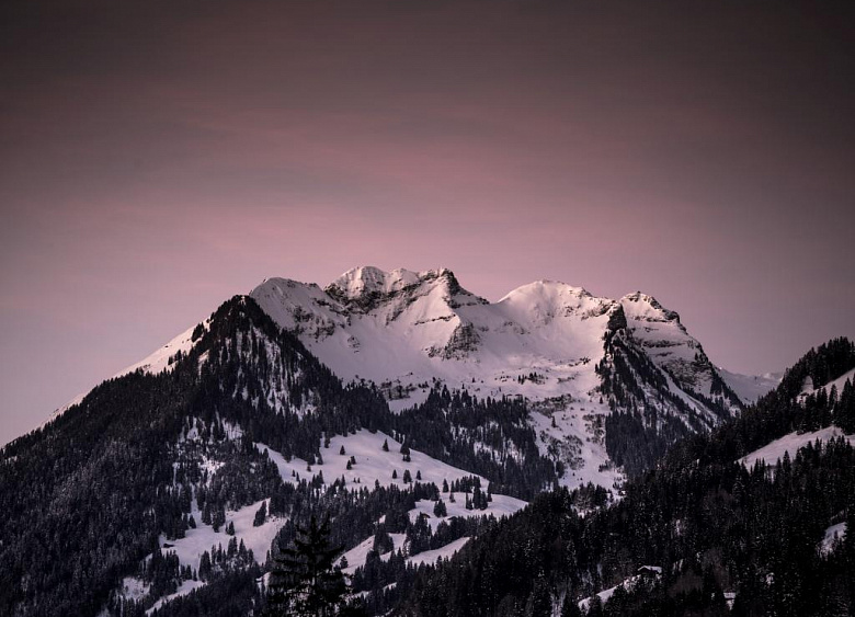 Hotel Park Gstaad  40