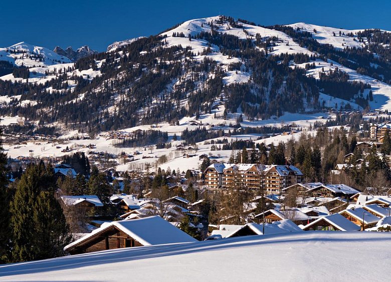 Hotel Park Gstaad  6