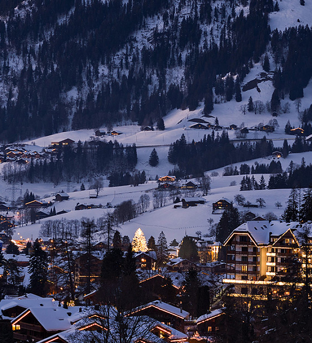 Hotel Park Gstaad  banner 2